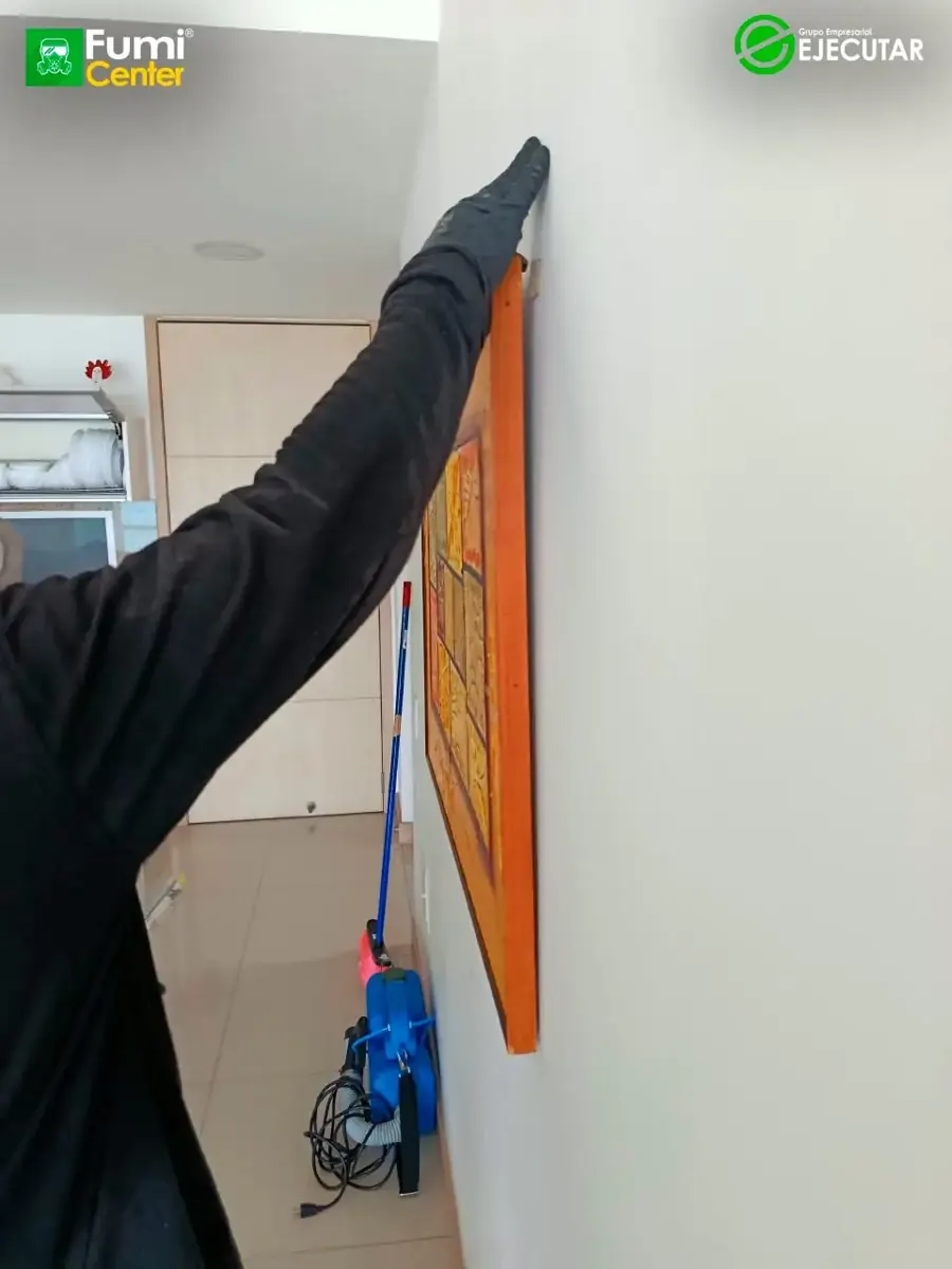 Servicio de FumiCenter en un apartamento de Santa Marta (2)