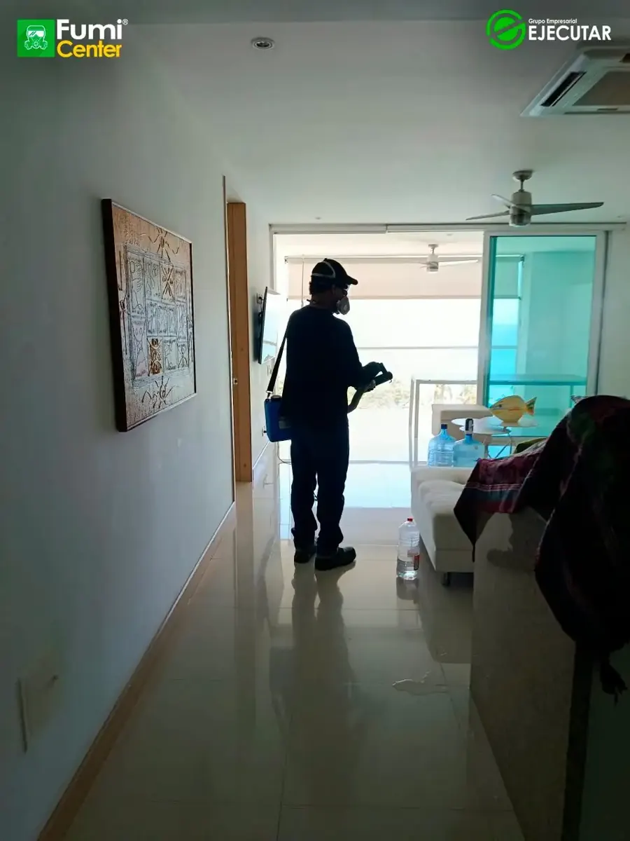 Servicio de FumiCenter en un apartamento de Santa Marta (5)
